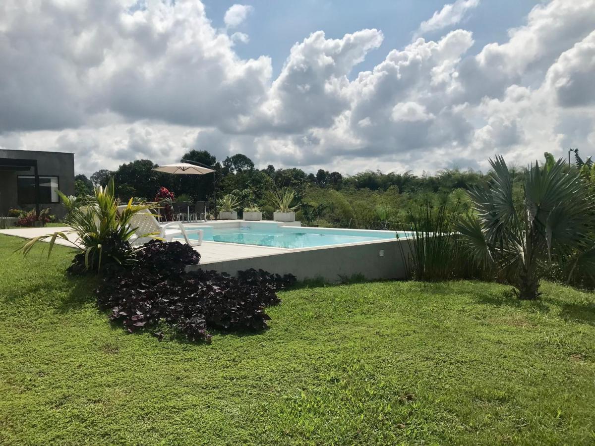 Torcaza Casa De Campo Quimbaya Eksteriør bilde