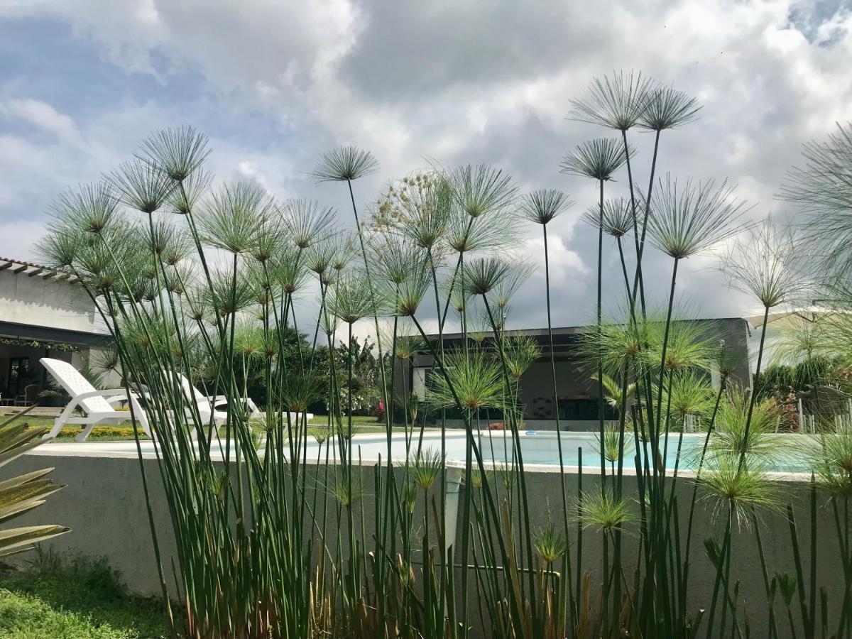Torcaza Casa De Campo Quimbaya Eksteriør bilde