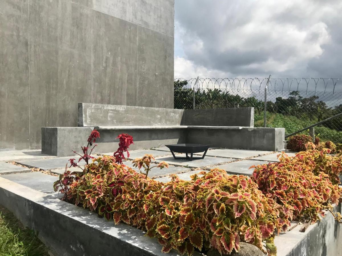 Torcaza Casa De Campo Quimbaya Eksteriør bilde